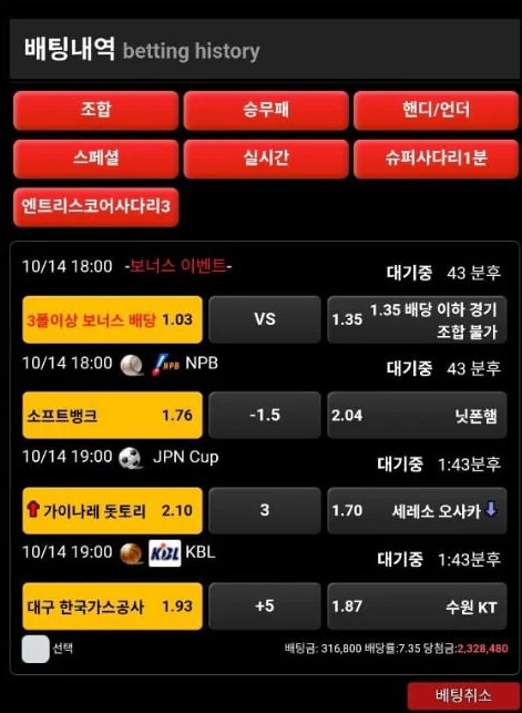 치타1.jpg